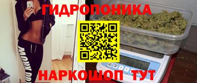 ПСИЛОЦИБИНОВЫЕ ГРИБЫ Кулебаки
