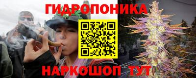 ПСИЛОЦИБИНОВЫЕ ГРИБЫ Кулебаки