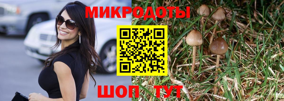 Галлюциногенные грибы Cubensis Грозный